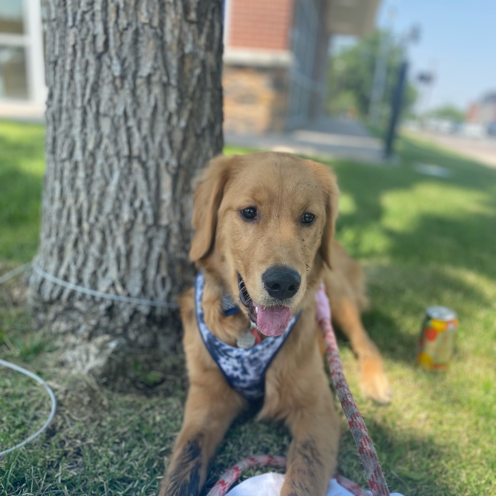 Meet your Posher, Charles